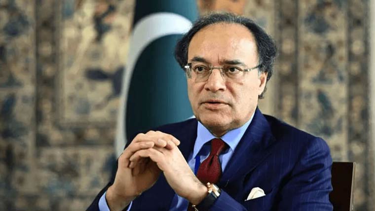 وفاقی وزیرِ خزانہ نے پانڈا بانڈ کے اجرا کو تاریخی کامیابی قرار دے دیا