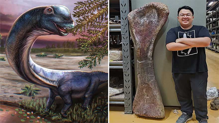 Scientists discover Southeast Asia's largest dinosaur in Thailand