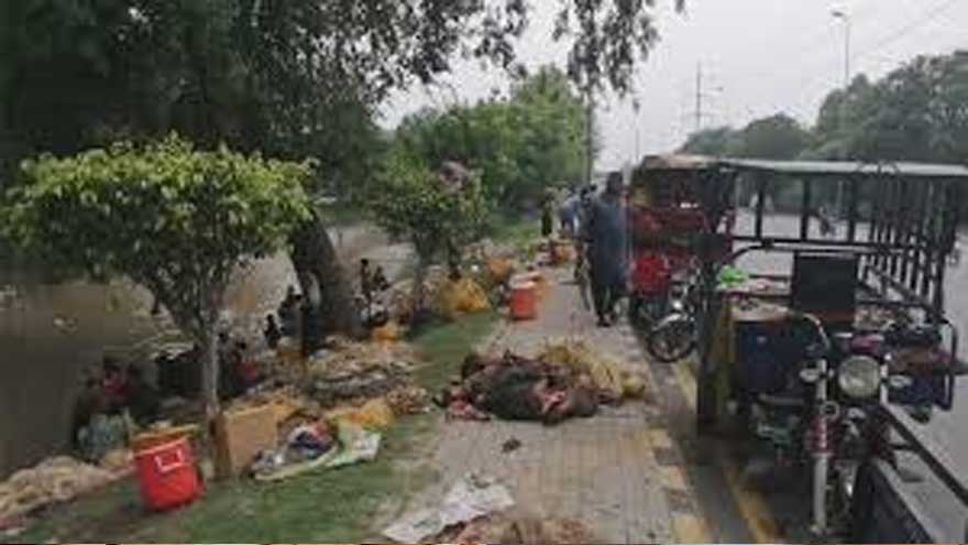 Karachi Commissioner warns against dumping animal waste