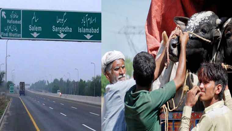 خبردار! موٹر ویز پر جانوروں سے لدی گاڑیوں کے داخلے پر پابندی