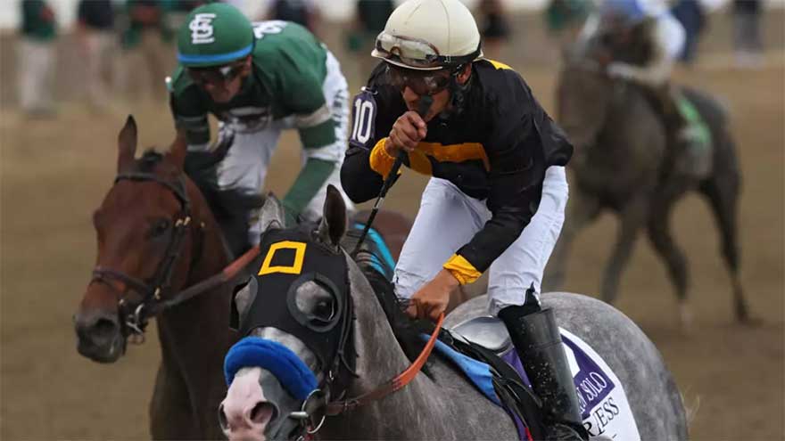 Napoleon Solo wins 151st Preakness Stakes