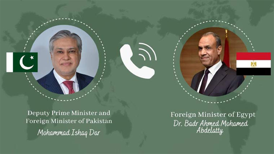 Ishaq Dar, Egyptian FM exchange views on evolving regional situation