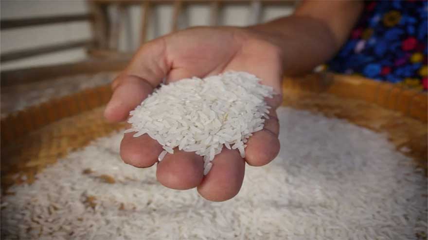 Pakistan diversifies rice export strategy through new markets, trade routes