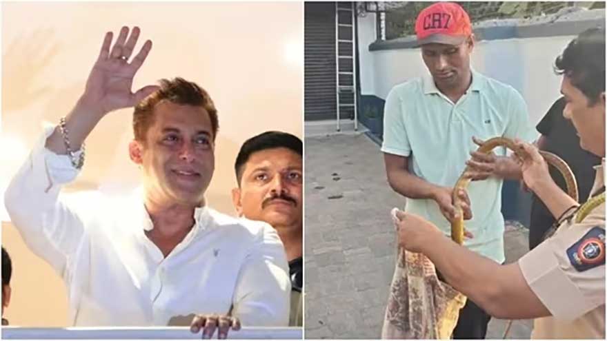 Snake rescued at Salman Khan's apartment