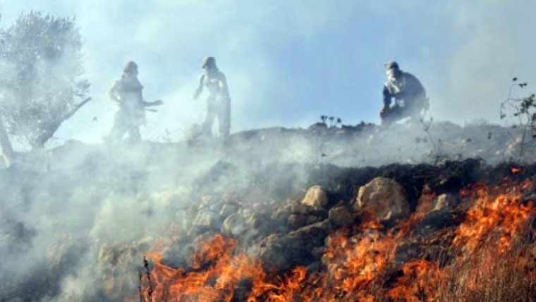 اسرائیلی آباد کاروں نے الخلیل کے قصبے میں فلسطینی شہریوں کی املاک جلا دیں