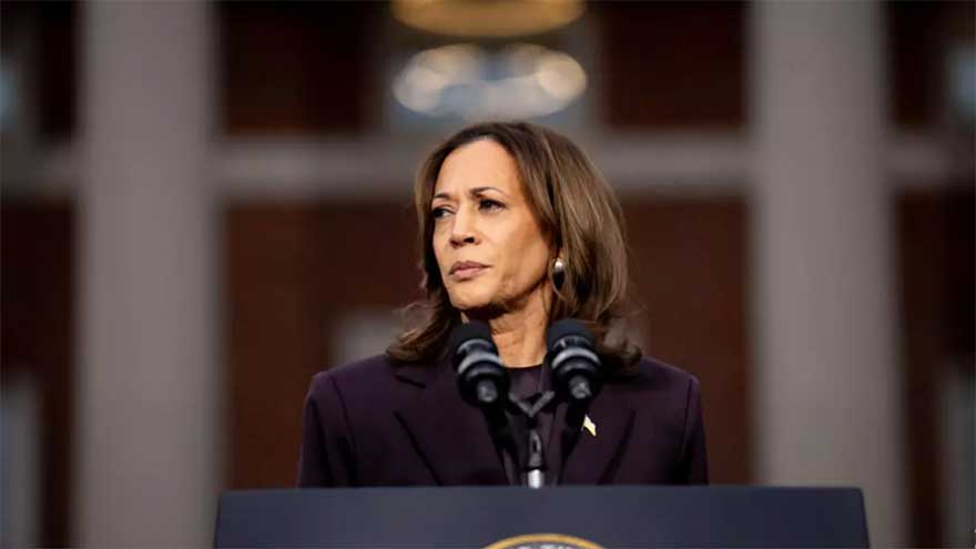 US Democrats release - and disown - 2024 election autopsy
