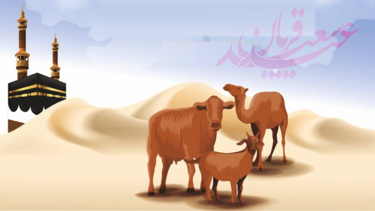 قربانی کی روح اور ہماری ذمہ داریاں