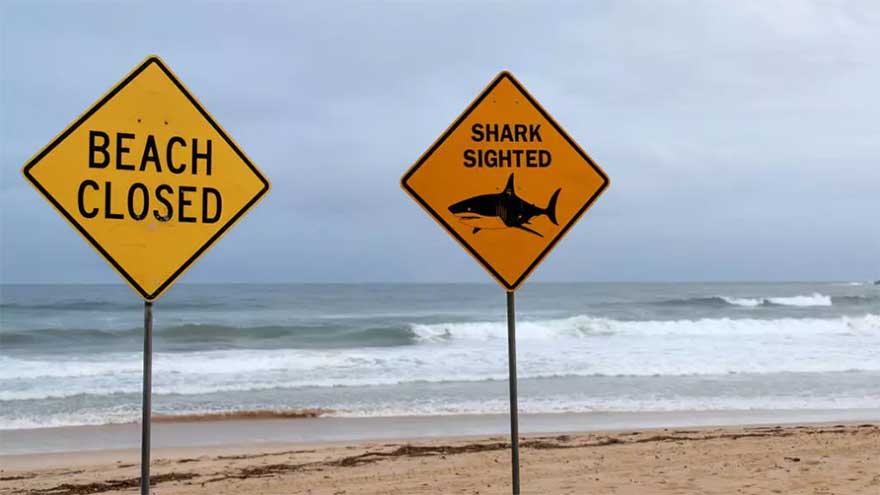 Shark kills man in Australia's Queensland state