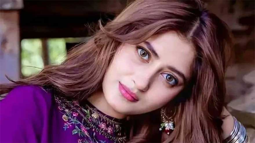 South Korean fans express admiration in nicknaming Sajal Aly