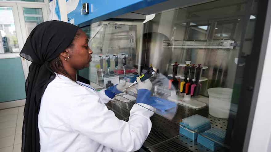 EU secures emergency deliveries of potential treatment against hantavirus