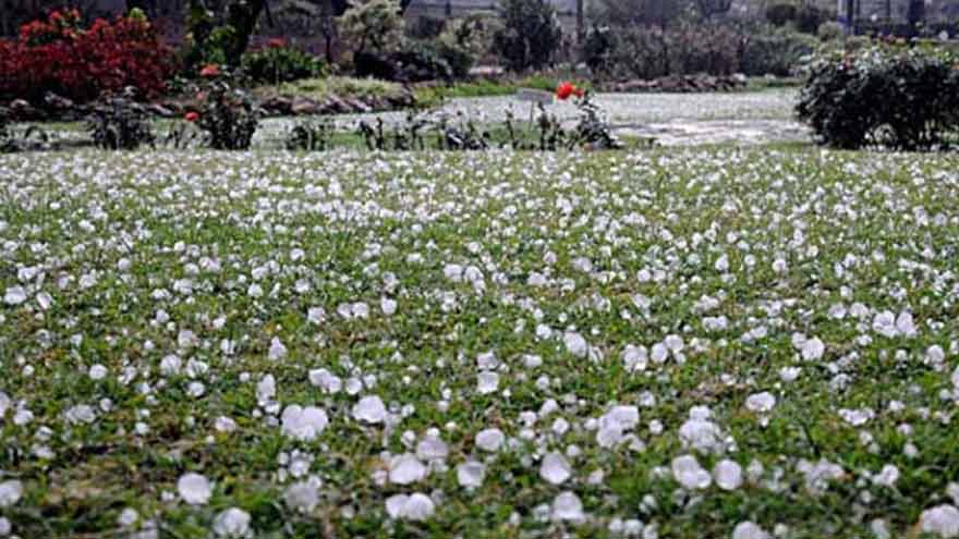 Rain, hailstorm bring pleasant weather to Lahore