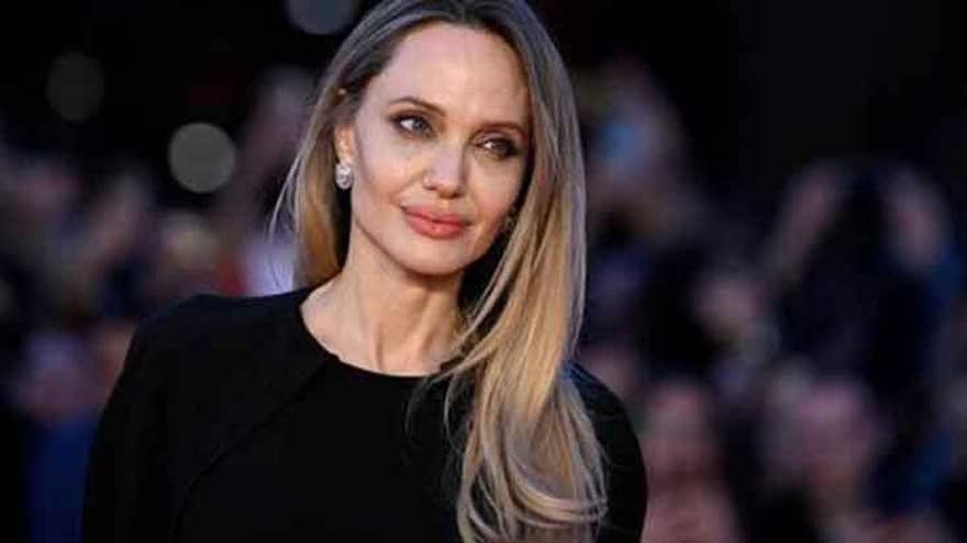 Angelina Jolie draws global attention to destruction in Gaza