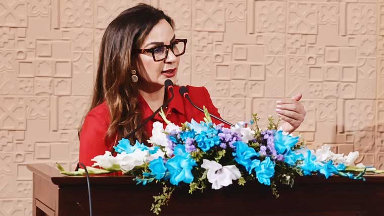 ای ایس جی پر عملدرآمد میں بڑا خلا ہے: شیری رحمان