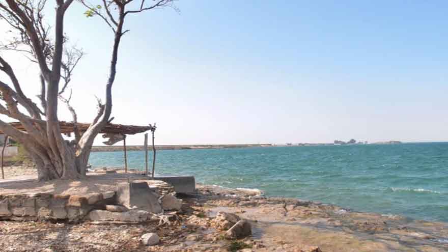 Keenjhar Lake water pollution reports unverified, says Sindh irrigation official