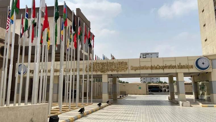 او آئی سی کی حوثی حملوں کی شدید مذمت، سعودی حکومت کی بھرپور حمایت کا اعلان