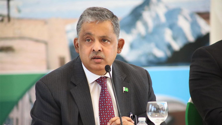 پاکستان نے علاقائی استحکام کے فروغ کیلئے مؤثر کردار ادا کیا: رضوان سعید