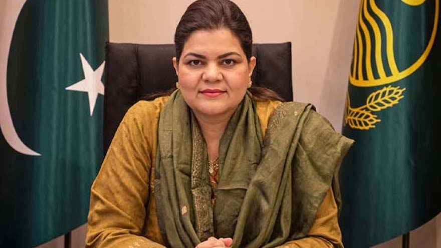 Punjab Governor Salim Haider appoints Salma Butt provincial minister