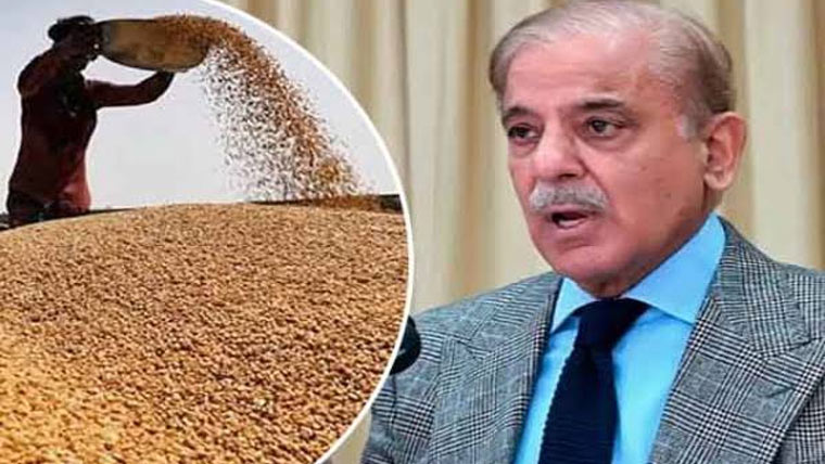 وزیراعظم کا 2027 کیلئے گندم کی مجوزہ قیمت 4 ہزار 500 روپے فی من مقرر کرنے کا فیصلہ