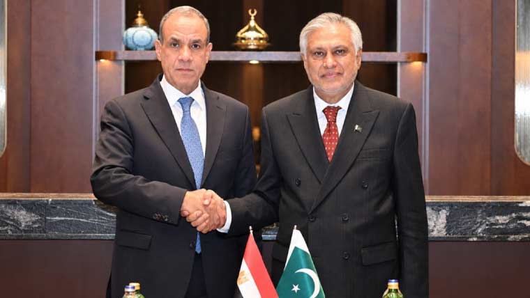اسحاق ڈار کی مصری وزیر خارجہ سے ملاقات، تجارت و دفاع میں تعاون بڑھانے پر اتفاق