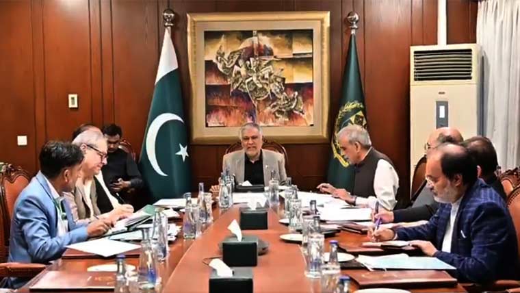 اسحاق ڈار کی زیر صدارت کابینہ کمیٹی کا اجلاس، گندم  مہنگی کرنے کے رجحان پر اظہارِ تشویش