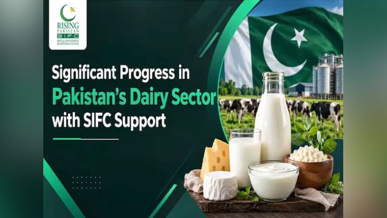 ایس آئی ایف سی کی معاونت سے پاکستانی ڈیری سیکٹر میں اہم پیشرفت