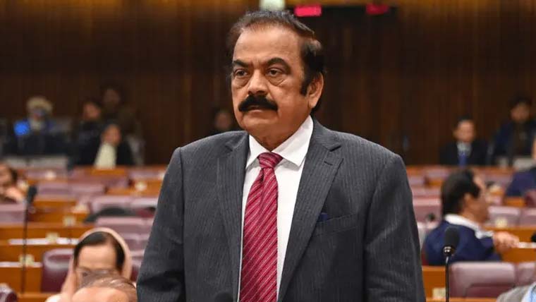 ریاست ماں کا درجہ رکھتی ہے، ماں سے متعلق نازیبا الفاظ قابل مذمت ہیں: رانا ثنا اللہ