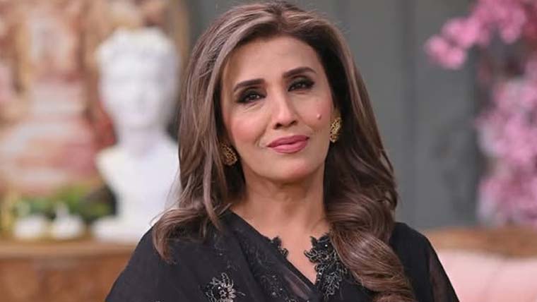 معروف گلوکارہ حمیرہ چنا کی گاڑی چوری، وزیر داخلہ سندھ نے نوٹس لے لیا
