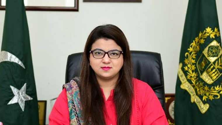 ڈیجیٹل نیشن پاکستان کے وژن پر عمل پیرا ہیں، شزا فاطمہ