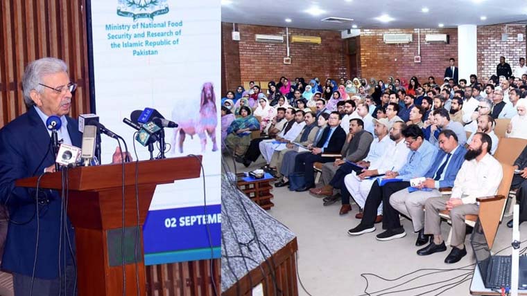 لمپی سکن ڈیزیز، بروسیلا ویکسینز کا عطیہ، چینی حکومت کا تعاون قابل تحسین ہے: رانا تنویر حسین