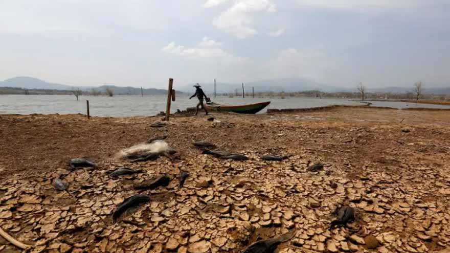 'World in danger zone': UN says El Nino likely to intensify, may become strongest ever recorded
