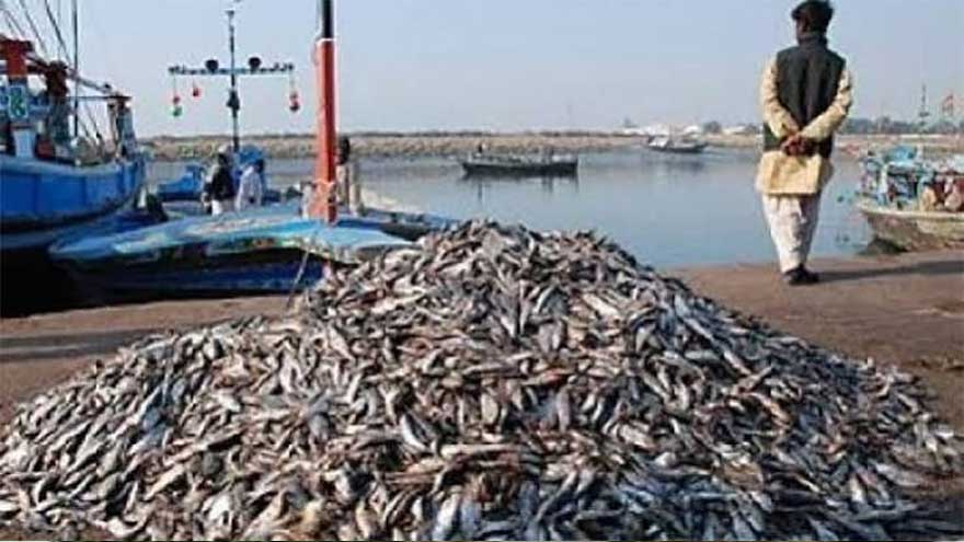 Pakistan sets new record with $570m fisheries exports