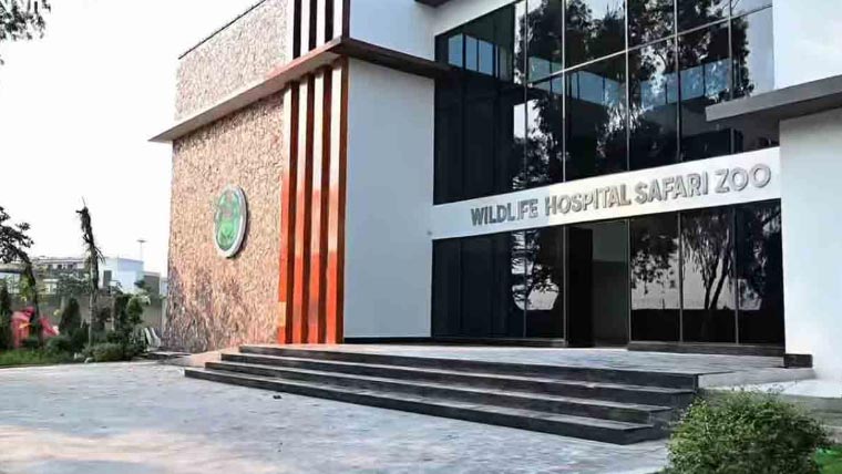 پاکستان کے پہلے وائلڈ لائف ہسپتال کی تعمیر مکمل، 12 آپریشن تھیٹرز قائم