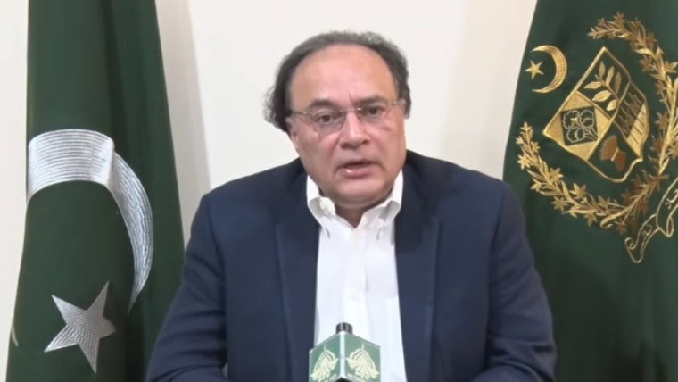 احتجاج اور دھرنوں سے معیشت کو یومیہ 120 ارب کا نقصان ہوگا: وفاقی وزیر خزانہ